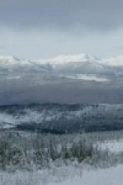 Snapped S27E03 480p x264-mSD [eztv]