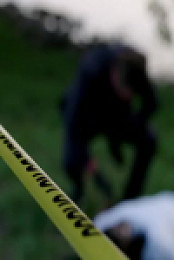 Snapped S32E25 480p x264-mSD EZTV