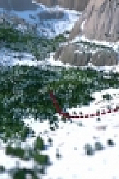 Running Wild with Bear Grylls S06E01 WEB x264-PHOENiX EZTV