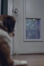 Downward Dog S01E02 720p HDTV x264-AVS[eztv]