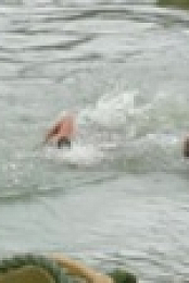 Survivor AU S09E19 XviD-AFG EZTV
