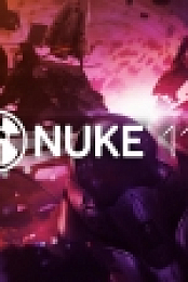 The Foundry Nuke Studio 11.2v4 (macOS)