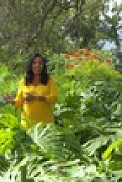 Wild Child S03E02 XviD-AFG EZTV
