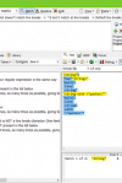 RegexBuddy v4.10 + Crack [FTUApps]