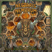 VA - Nectaris Nemorum (2026) MP3