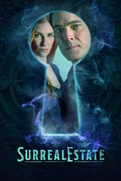SurrealEstate S03 1080p WEBRip x265-KONTRAST
