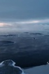Alone S10E00 Before the Drop XviD-AFG EZTV