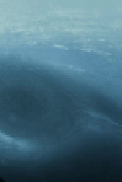 NOVA S51E13 Wandering Worlds 720p WEB h264-BAE EZTV
