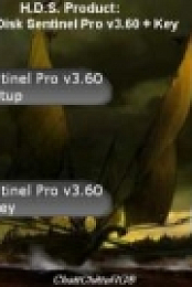 Hard Disk Sentinel Pro v3.60 + Key [ChattChitto RG]
