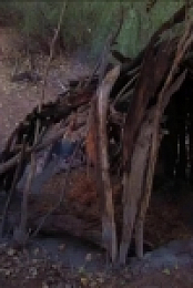 Naked and Afraid S12E07 480p x264-mSD EZTV
