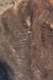 Ancient Aliens S18E13 XviD-AFG EZTV