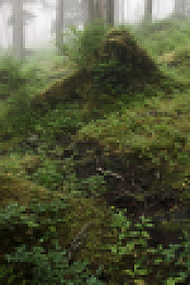 Inside the Enchanted Forests S01E05 1080p WEB h264-EDITH EZTV