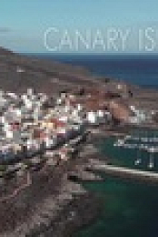 NOVA S50E07 Saving the Right Whale XviD-AFG EZTV