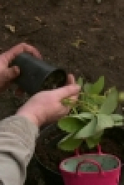 Garden Rescue S03E06 Clapham 720p WEB x264-SOIL[eztv]