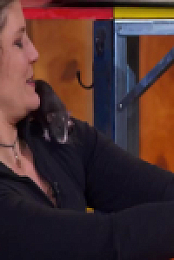 Stupid Pet Tricks S01E06 480p x264-mSD EZTV