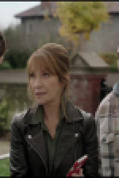 Harry Wild S02E03 XviD-AFG EZTV