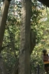 Moonshiners S06E13 iNTERNAL HDTV x264-W4F[eztv]