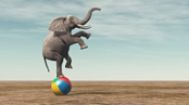[ FreeCourseWeb ] Udemy - The Gradle Masterclass