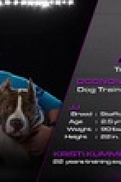 Americas Top Dog S02E06 WEB x264-PHOENiX EZTV