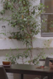 Meet the Richardsons S05E02 1080p WEB h264-CODSWALLOP EZTV