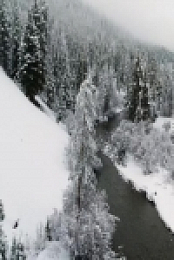 Earth Moods S01E01 480p x264-mSD EZTV