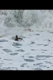 100 Foot Wave S01E01 480p x264-mSD EZTV