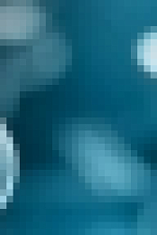 The Voice S17E17 720p WEB x264-TRUMP[TGx]