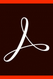 Adobe Acrobat Pro DC 2019.010.20064 Multilingual (macOS)