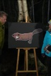Winterwatch S11E05 720p WEB h264-FaiLED EZTV