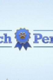 Pooch Perfect US S01E01 720p WEB h264-BAE EZTV