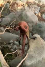 Naked and Afraid S16E01 480p x264-mSD EZTV