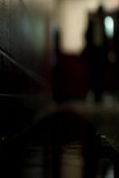 Wild Crime S02E02 480p x264-mSD EZTV