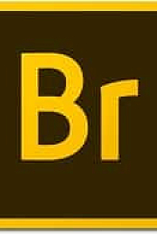 Adobe.Bridge.CC 2019 v9.0.3 RePack [Kolompc]
