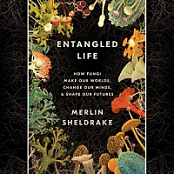 Entangled Life - Merlin Sheldrake - 2020 (Science) [Audiobook] (miok)