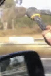 Road Rage S01E05 1080p WEB h264-EDITH EZTV