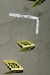 Murder By Numbers S02E08 Rampage 720p WEBRip x264-CAFFEiNE [eztv]