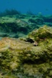 Greece The Wild Side S01E02 720p WEB h264-SKYFiRE EZTV