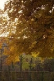 The Garden Gurus S28E02 480p x264-mSD [eztv]