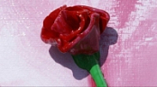 [ FreeCourseWeb ] Udemy - How to Paint a 3D Simple Sculptural Rose
