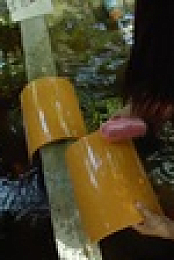 Nigel Marvens Wild Philippines S01E02 XviD-AFG EZTV