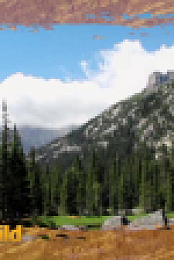Wild Child S04E14 XviD-AFG EZTV