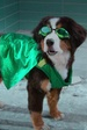 Super PupZ S01E08 XviD-AFG EZTV