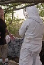 Bee Czar S01E02 Bee the Tree XviD-AFG EZTV