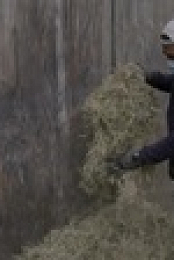 The Zoo US S05E02 Bouncing Troody 720p WEBRip x264-KOMPOST EZTV