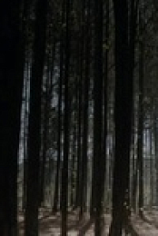 Legacies S03E14 480p x264-mSD EZTV