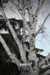 Paranormal Caught on Camera S08E02 1080p WEB h264-FREQUENCY EZTV