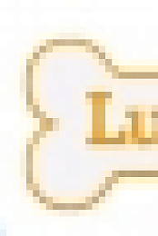 Lucky Dog S06E12 A Higher Purpose WEB x264-KOMPOST[TGx]