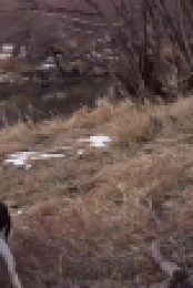 Mountain Men S07E02 WEB h264-TBS[eztv]