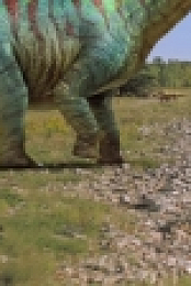 Dino Dana S01E07 720p WEB H264-iNSiDiOUS EZTV