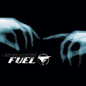 Fuel - 2003 - Natural Selection